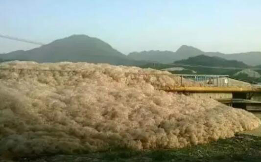 （圖：水處理起泡場(chǎng)景）