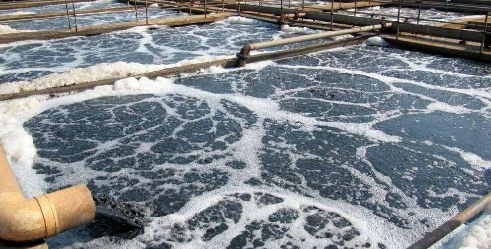 (圖:市政直排污水起泡現(xiàn)場(chǎng))