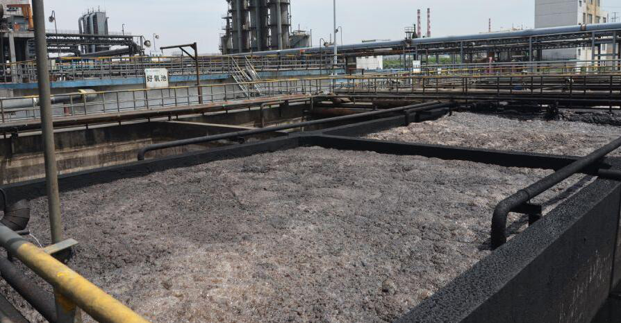 (圖:硝化池污水泡沫池)