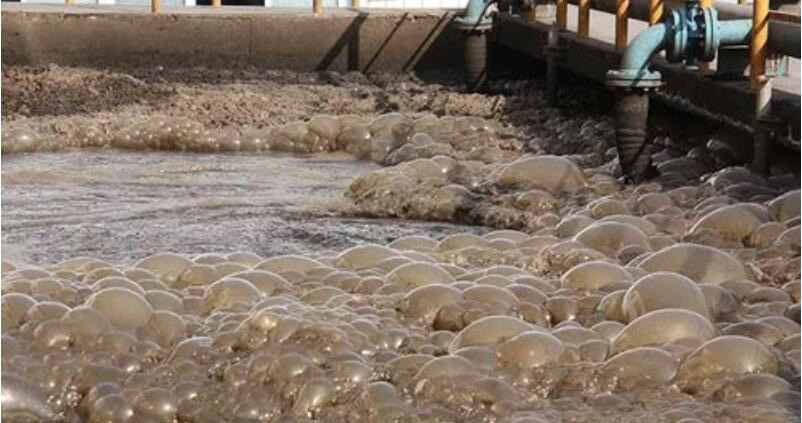 (圖:南輝水處理消泡劑應(yīng)用)