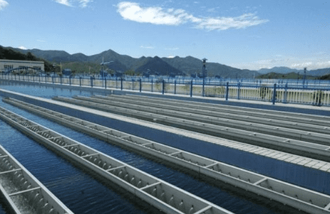 （生物水處理消泡劑應(yīng)用場(chǎng)景）